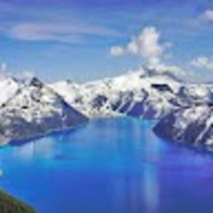 Meet your Posher, Logan